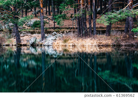 Pine forest reflecting on the lake water in a mountainous area on a misty day 61369562