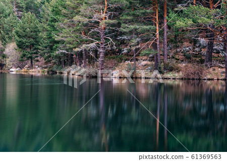 Pine forest reflecting on the lake water in a mountainous area on a misty day 61369563