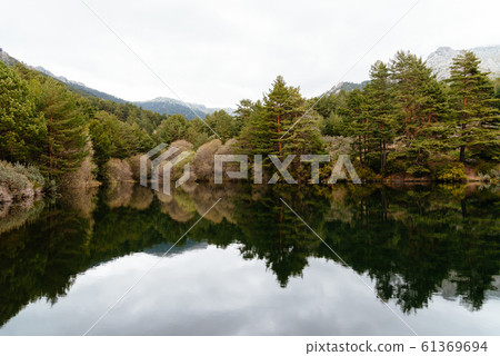 Picturesque view of mountain dam and pine forest on a misty day 61369694