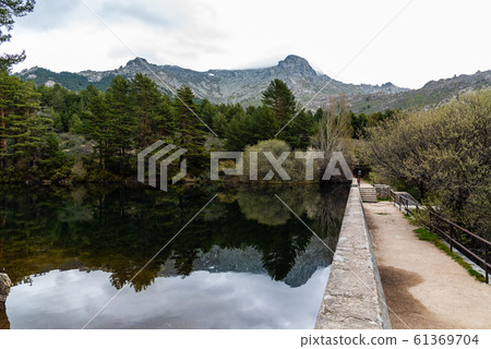 Picturesque view of mountain dam and pine forest on a misty day 61369704