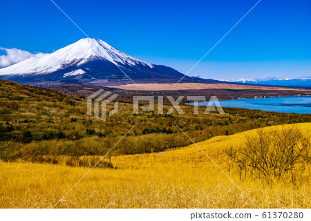 Fuji and Yamanakako Fuji and Yamanakako 61370280