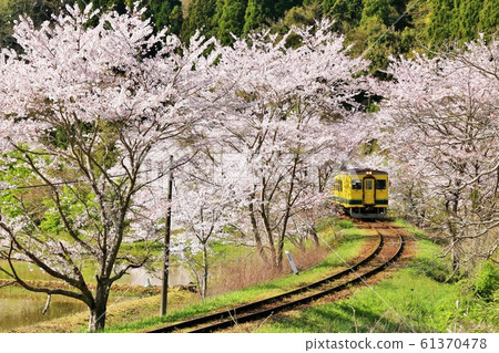 鐵路在春天的春天 鐵路在春天的春天 61370478
