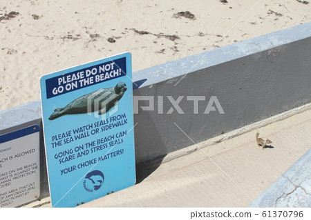 Signboard Signboard 61370796