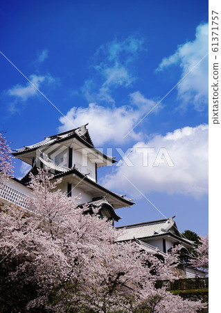 櫻花金澤城公園金澤城 櫻花金澤城公園金澤城 61371757