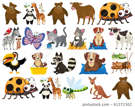 Set of isolated objects theme animals Set of isolated objects theme animals 61372302