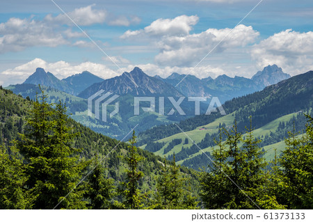 Landscape around Bad Hindelang in Bavaria, Germany 61373133