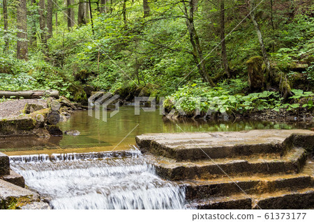 Little waterfall in the Rappenalptal near Bad Hindelang in Bavaria, Germany Little waterfall in the Rappenalptal near Bad Hindelang in Bavaria, Germany 61373177