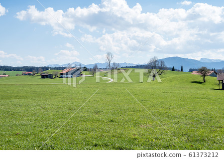 Landscape around Bad Hindelang in Bavaria, Germany 61373212