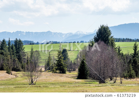Landscape around Bad Hindelang in Bavaria, Germany 61373219