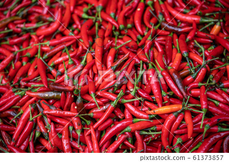Red hot Chillies on sale Red hot Chillies on sale 61373857
