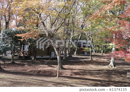 Late autumn campsite Late autumn campsite 61374135