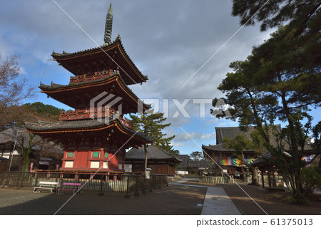 Tsuruginji Temple: Three-storied Pagoda and Main Hall 61375013