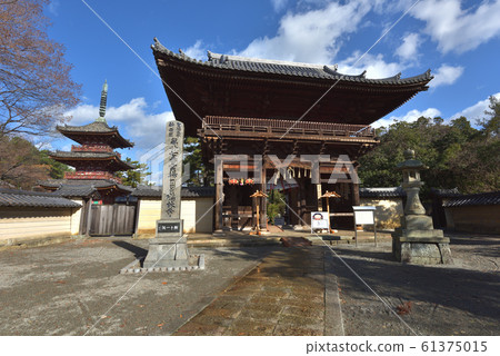 Tsuruginji Temple Niomon and Triple Tower 61375015