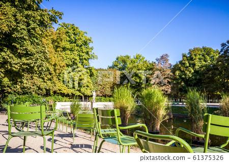 Tuileries Garden, Paris, France 61375326
