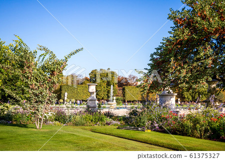 Tuileries Garden, Paris, France 61375327