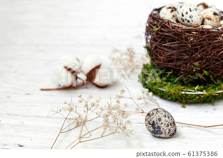 Easter decoration with egg in nest cup and cotton 61375386