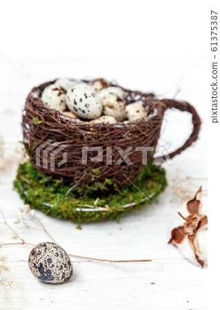 Easter decoration with egg in nest cup and cotton 61375387