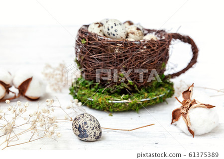 Easter decoration with egg in nest cup and cotton 61375389