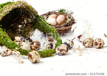 Easter decoration with eggs and basket on white 61375436