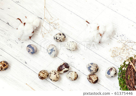 Easter decoration with egg in nest cup on white Easter decoration with egg in nest cup on white 61375446