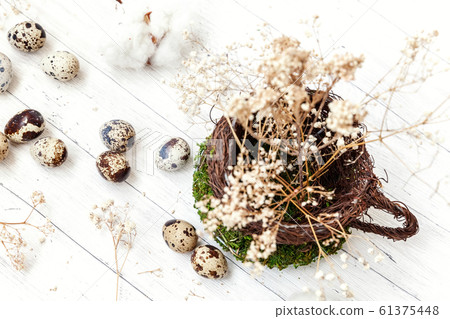 Easter decoration with egg in nest cup on white 61375448