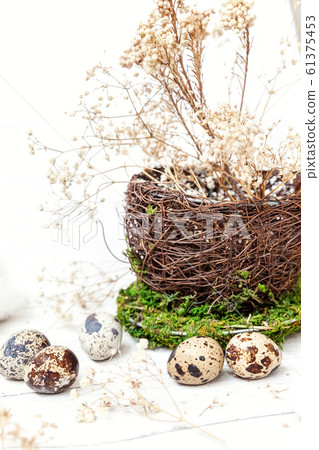 Easter decoration with egg in nest cup on white Easter decoration with egg in nest cup on white 61375453