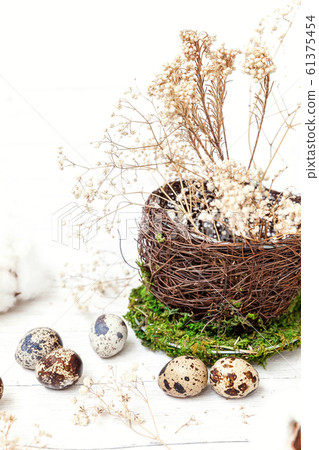 Easter decoration with egg in nest cup on white 61375454