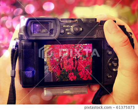 colorful leaves on background of vintage style colorful leaves on background of vintage style 61375873
