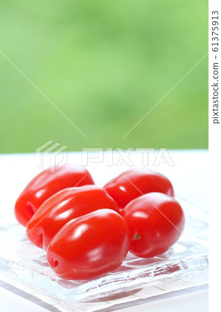 Slender mini tomatoes outdoors Slender mini tomatoes outdoors 61375913