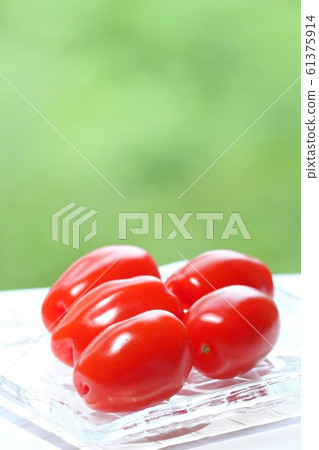 Slender mini tomatoes outdoors Slender mini tomatoes outdoors 61375914