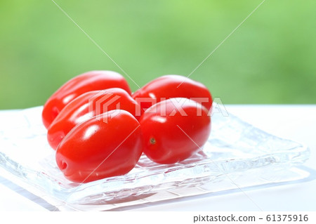 Slender mini tomatoes outdoors Slender mini tomatoes outdoors 61375916