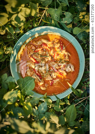 Dried red pork coconut curry, Thai cuisine. 61377160