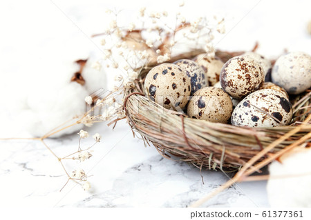 Easter decoration with egg in nest and cotton on 61377361