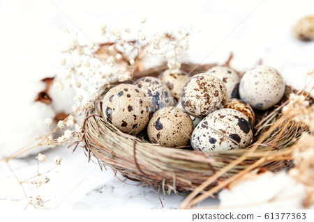 Easter decoration with egg in nest and cotton on Easter decoration with egg in nest and cotton on 61377363