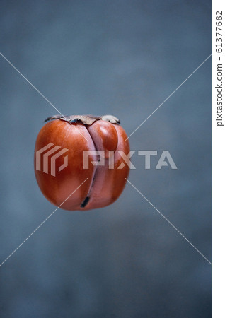 Orange ugly persimmon flying kaki fruit isolated 61377682