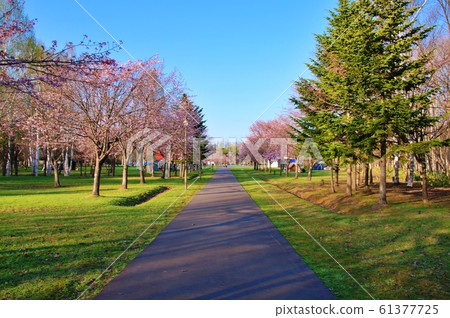 春光台公園綠色運動設施營地 春光台公園綠色運動設施營地 61377725