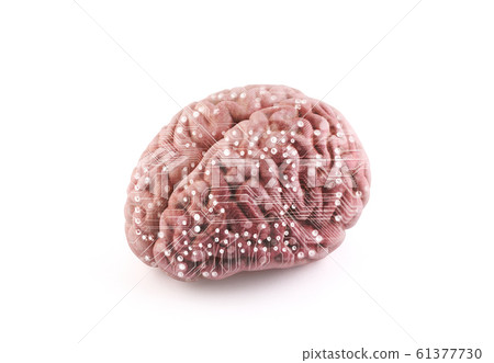 Computer human brain isolated on white with clipping path 61377730