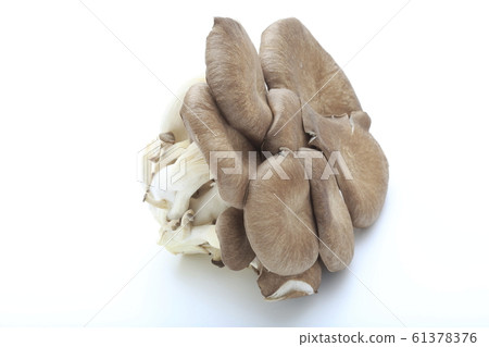 Milfing millet Milfing millet 61378376