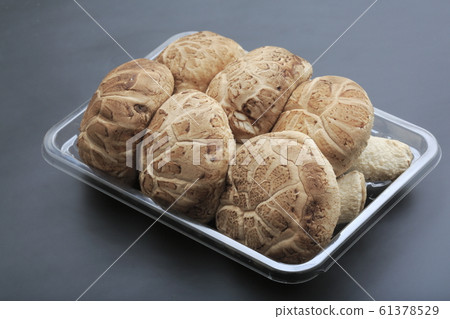 Nagano prefecture first picked raw donko 61378529