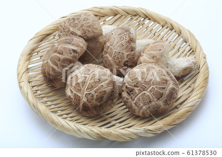 Nagano prefecture first picked raw donko 61378530