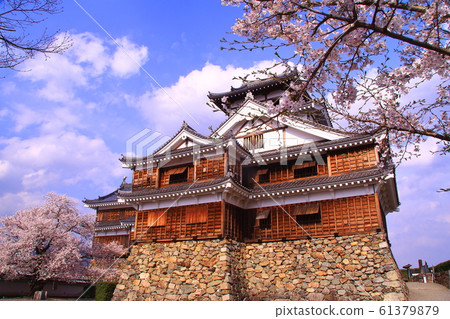 在福知山城(京都市福知山市)盛開的櫻花 在福知山城(京都市福知山市)盛開的櫻花 61379879