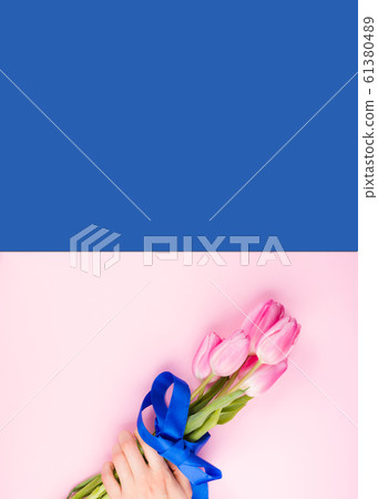 Female hand with tulips on pink and blue backdrop Female hand with tulips on pink and blue backdrop 61380489