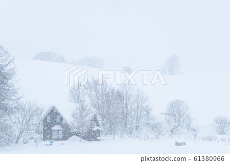 Snow falling landscape Snow falling landscape 61380966