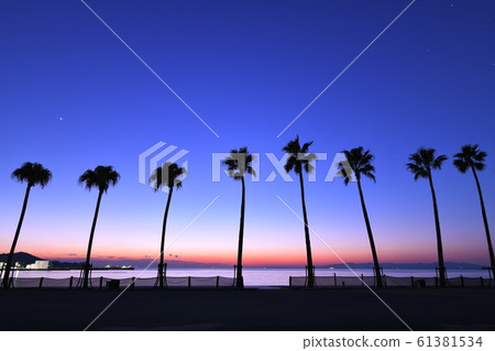 Hamanomiya海灘 Hamanomiya海灘 61381534