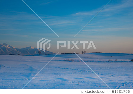 Biei at sunset 61381706