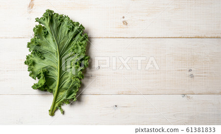Green kale leaf on white wood table, copy space, top view Green kale leaf on white wood table, copy space, top view 61381833