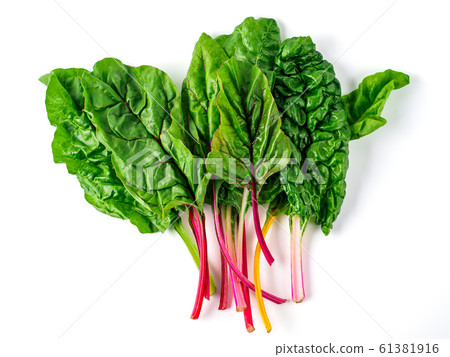 swiss rainbow chard isolated on white 61381916