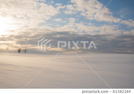 暴雪親子山 暴雪親子山 61382164