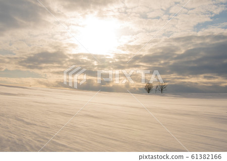 暴雪親子山 暴雪親子山 61382166