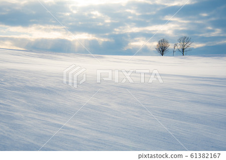 暴風雪 暴風雪 61382167